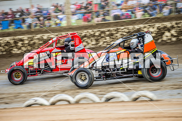 wingless 26 t26-4