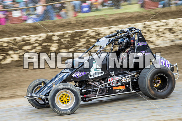 wingless 46 t46-2