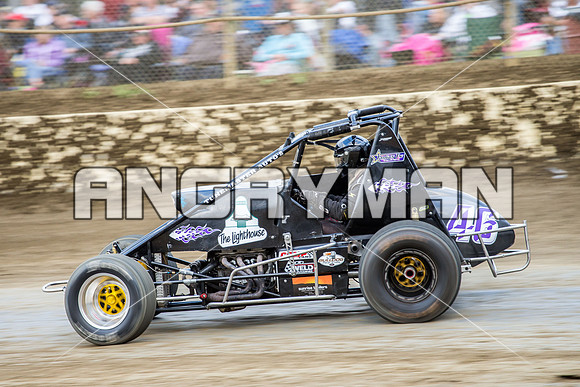 wingless 46 t46-3