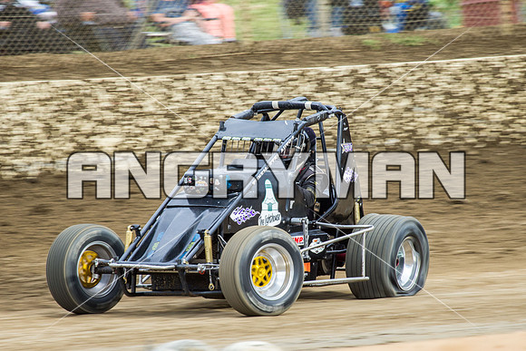 wingless 46 t46