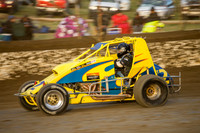 wingless 2 t2-2
