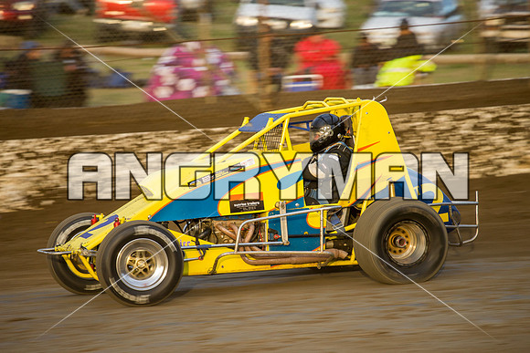 wingless 2 t2-2
