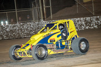 wingless 2 t2-4