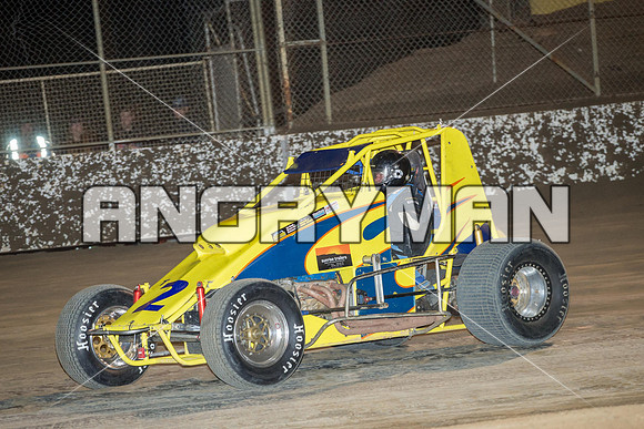 wingless 2 t2-4