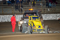 wingless 2 t2-3