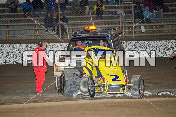 wingless 2 t2-3