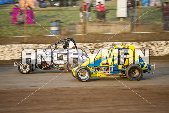 wingless 2 t2