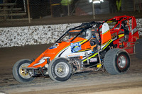 wingless 5 t5-2