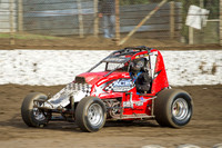 wingless 6 t6 chris breen-2