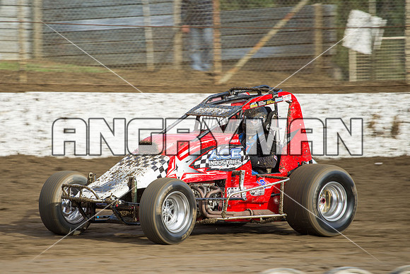 wingless 6 t6 chris breen-2