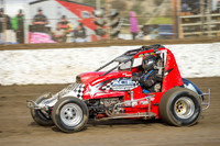 wingless 6 t6 chris breen-3