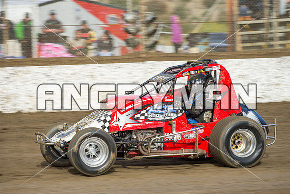 wingless 6 t6 chris breen-3