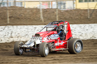 wingless 6 t6 chris breen-4