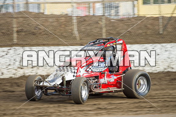 wingless 6 t6 chris breen-4