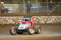 wingless 6 t6 chris breen-5