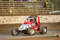 wingless 6 t6 chris breen-6