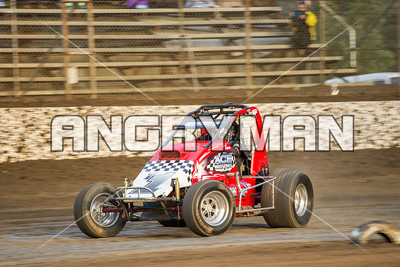 wingless 6 t6 chris breen-6