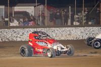 wingless 6 t6