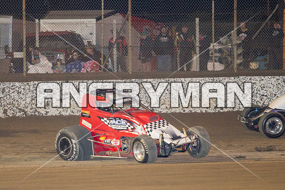 wingless 6 t6