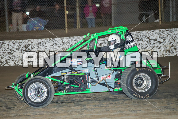 wingless 13 t13-2
