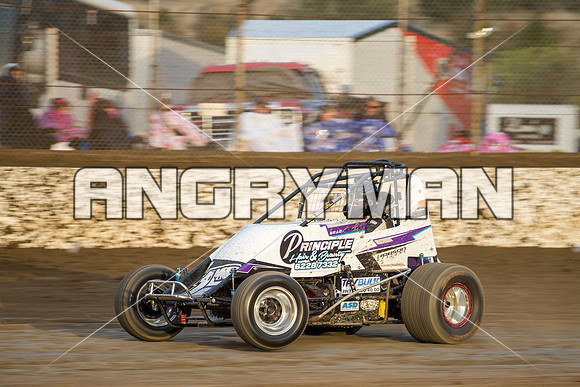 wingless 15 t15 brad herbert-2