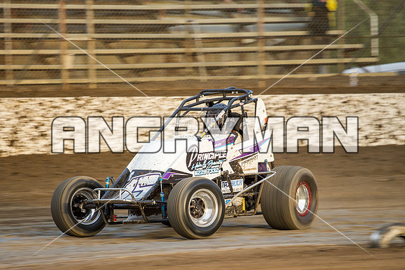 wingless 15 t15 brad herbert-4