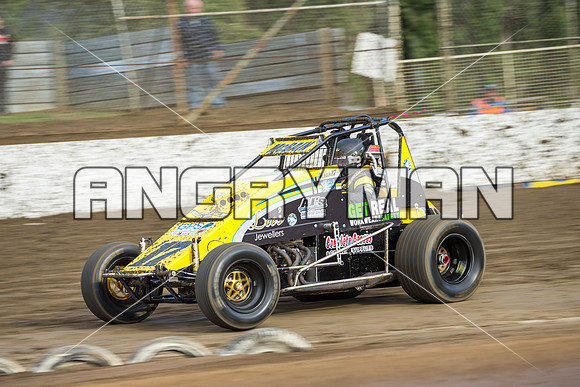wingless 17 t17 hadyn mcbain