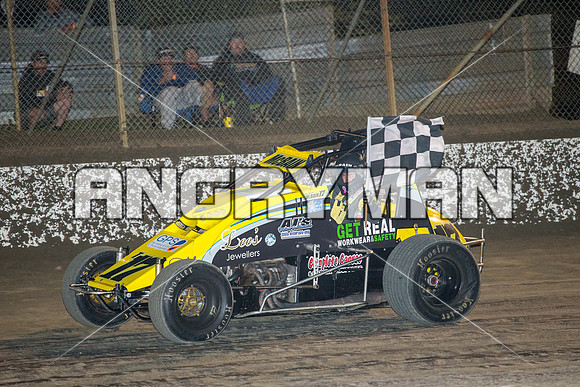 wingless 17 t17-3