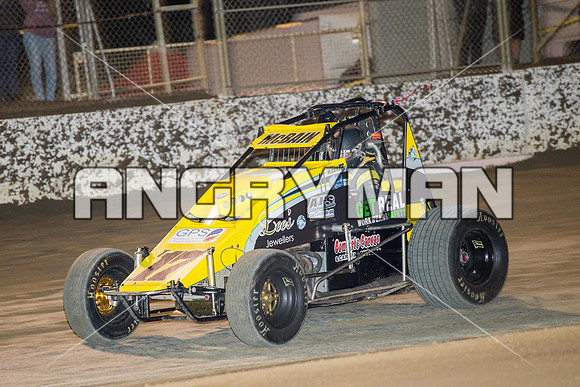 wingless 17 t17