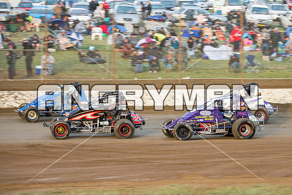 wingless 21 t21 joe turnbull-2