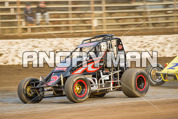 wingless 21 t21 joe turnbull-4