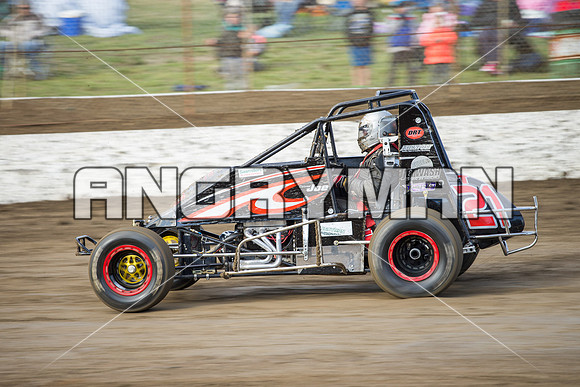 wingless 21 t21 joe turnbull