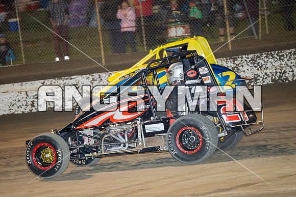 wingless 21 t21