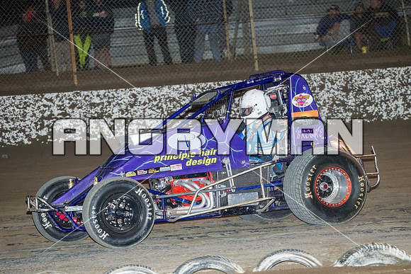 wingless 28 t28-2