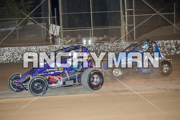 wingless 28 t28