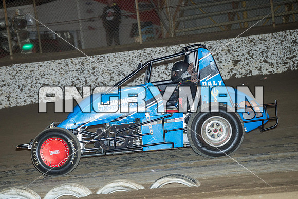 wingless 31 t31-2