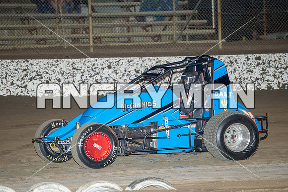 wingless 31 t31