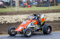 Wingless