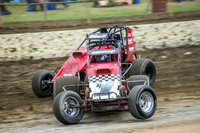 wingless 6 t6 chris breen-2