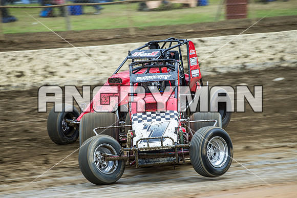 wingless 6 t6 chris breen-2