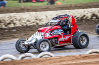 wingless 6 t6 chris breen-3