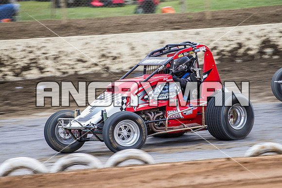 wingless 6 t6 chris breen-3