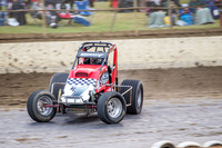 wingless 6 t6 chris breen-4