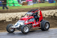 wingless 6 t6 chris breen-5