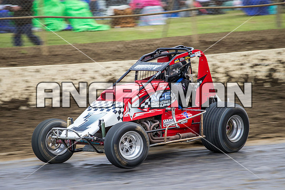 wingless 6 t6 chris breen-5