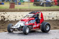 wingless 6 t6 chris breen-6