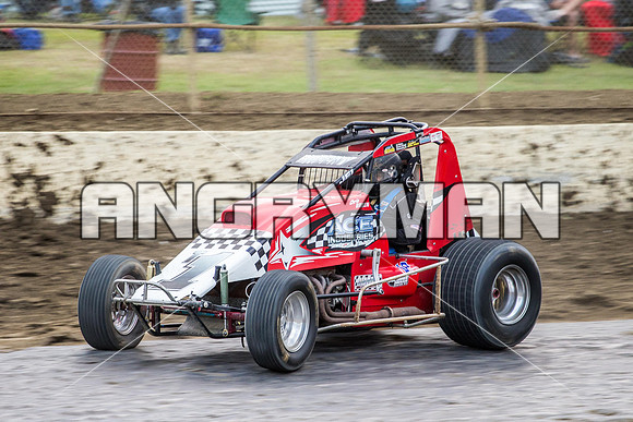 wingless 6 t6 chris breen-6