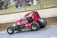 wingless 6 t6 chris breen-7