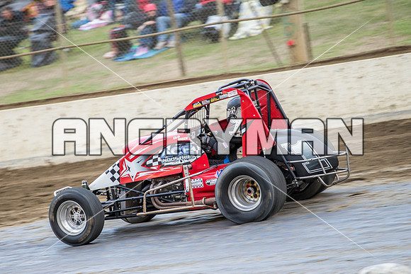 wingless 6 t6 chris breen-7