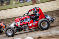 wingless 6 t6 chris breen